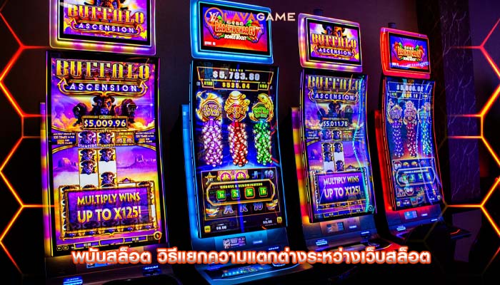 พนันสล็อต วิธีแยกความแตกต่างระหว่างเว็บสล็อต